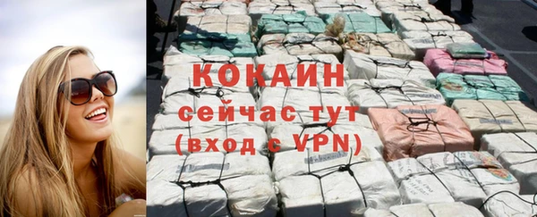 дживик Аркадак