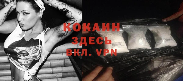 эйфоретик Арсеньев